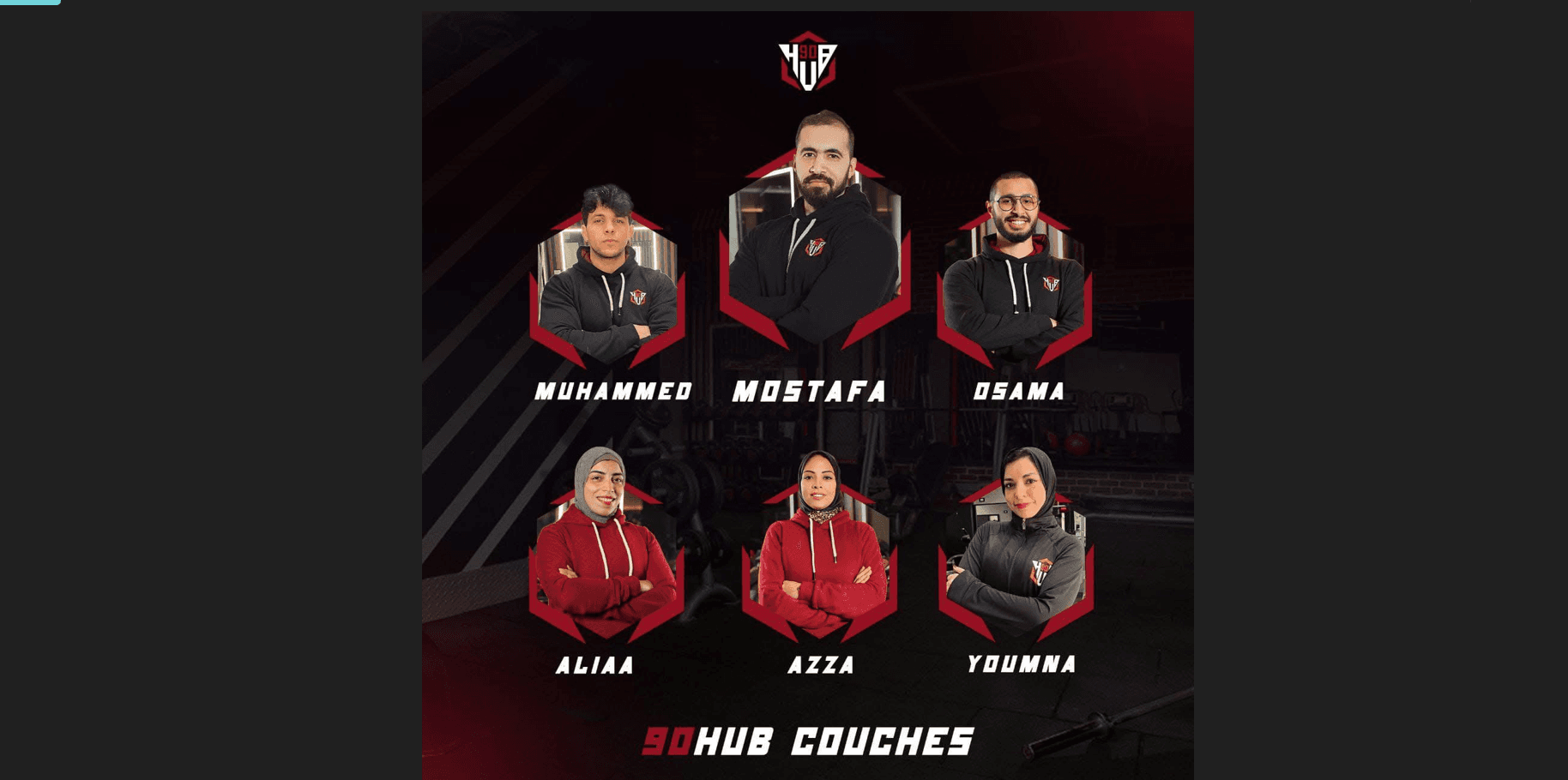 فريق الخبراء